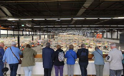 Royal Flora Holland flower auction