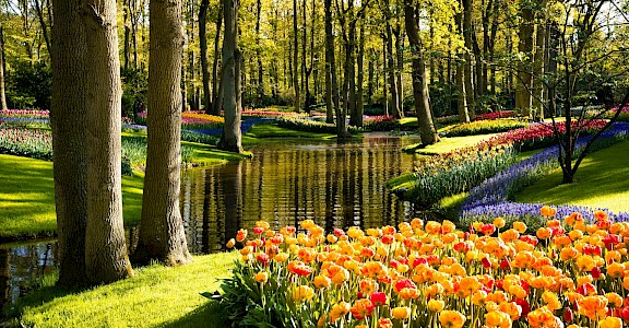 The Kuekenhof, Netherlands. Unsplash@MaksimShutov