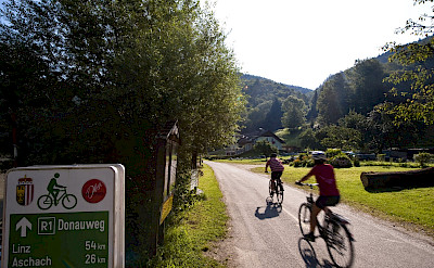 Biking the Danube Bike Path (Donauweg). ©TO
