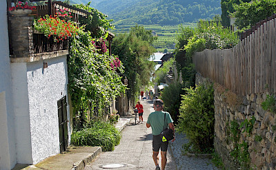 Bike rest in Dürnstein, Wachau valley, Austria. Photo via Flickr:Don Heffernan