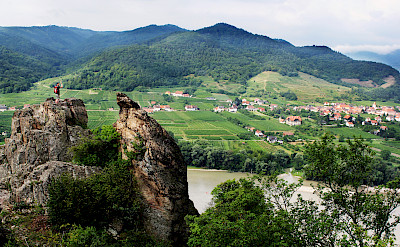 Wachau Valley vineyards along the Danube River, Austria. Flickr:alchen_x