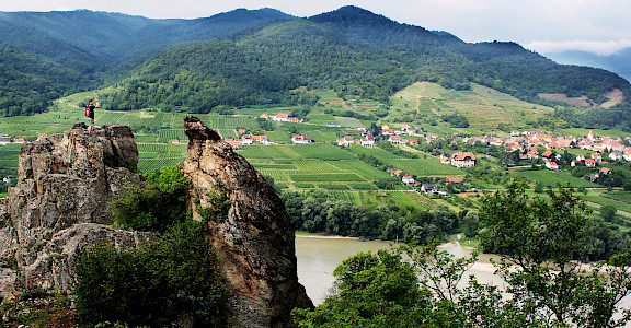 Wachau Valley vineyards along the Danube River, Austria. Flickr:alchen_x