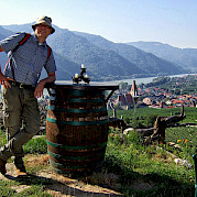 Ao longo do Danúbio – Passau a Viena Foto