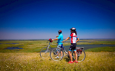 Peaceful roads lead through the vast grasslands and wetlands. toRR