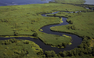 The Meandering Channels of the Danube Delta. toRR