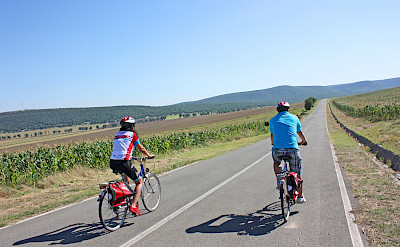 Scenic cycling between villages and wetlands. toRR
