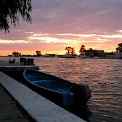Danube Delta Photo