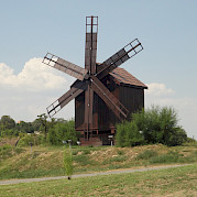 Danube Delta Photo