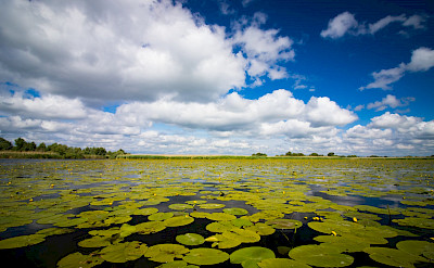 The extraordinary flora of this UNESCO World Heritage landscape. toRR