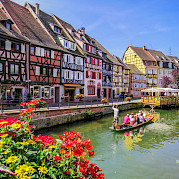 Alsace Road Bike Tour Photo