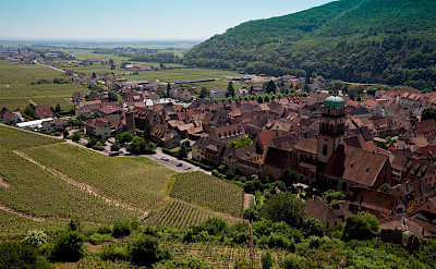 Vine-covered hill around Kaysersberg, Alsace, France. Photo via Flickr:Allan Harris