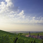 Alsace Road Bike Tour Photo