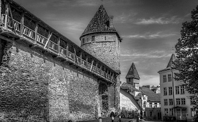 Old fortified walls of Tallinn, Estonia. Flickr:Mike Beales