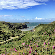 South Wales-The Region of Pembrokeshire Photo