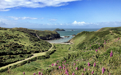 Gorgeous landscapes dot Pembrokeshire. Photo via Flickr:David