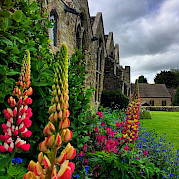 Around Medieval Ludlow Photo