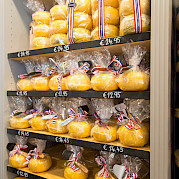 Authentic Holland Photo
