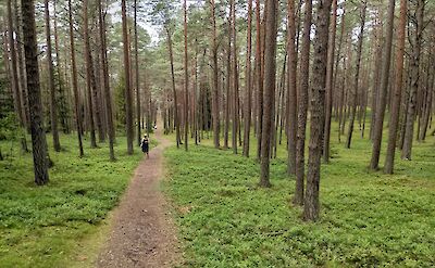 Hiking in Juodkrantė, Lithuania. Flickr:Šarūnas Burdulis