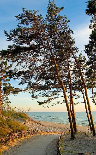 Along the Baltic Sea in Palanga, Lithuania. CC:Michael Sartakov