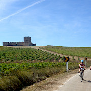 Castles and Wine Photo