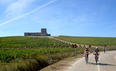 Biking past vineyards, and castles on this tour. Photo courtesy of Tour Operator.