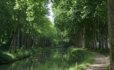 Tow path along the Canal du Midi in France. Flickr:Andy Wright