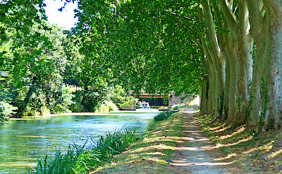 Biking along the tow path and the Canal du Midi in France. Flickr:Andrew Gustar