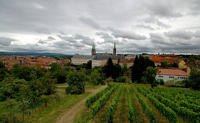 Vineyards and Marienberg Fortress in Wurzburg, region Franconia in Bavaria, Germany. Flickr:jinpal song