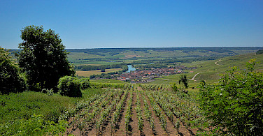 Vineyards surrounding Epernay. Photo via Flickr:Random_fotos