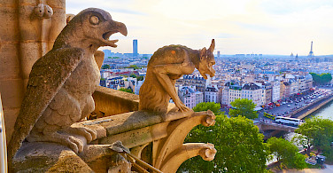 Gargoyles on Notre Dame Cathedral, Paris, France. Photo via Flickr:Moyan Brenn