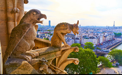 Gargoyles on Notre Dame Cathedral, Paris, France. Flickr:Moyan Brenn
