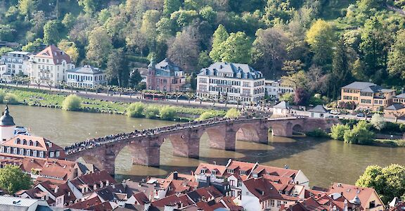 View from the castle in Heidelberg, Germany. Flickr:Gunter Hentschel