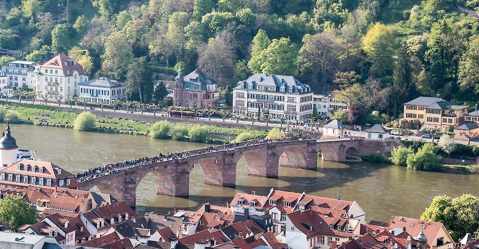 View from the castle in Heidelberg, Germany. Flickr:Gunter Hentschel