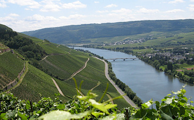 Vine-covered hills along the Mosel River Valley. Flickr:Areks