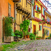 Southern Alsace Photo