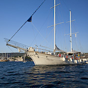 Osman Kurt Foto