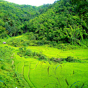 Northern Thailand Photo