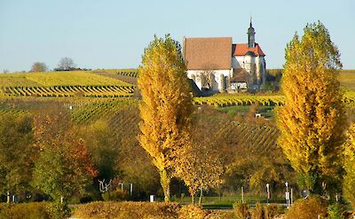 The pilgrimage church Maria im Weingarten in Volkach, Germany. Flickr: barockschloss