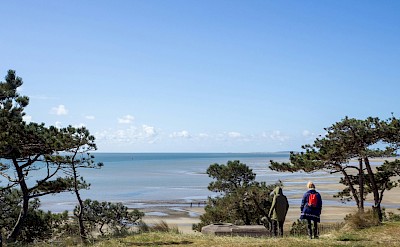 Hiking on the Island of Terschelling, Netherlands. Unsplash@Wim Van T Einde