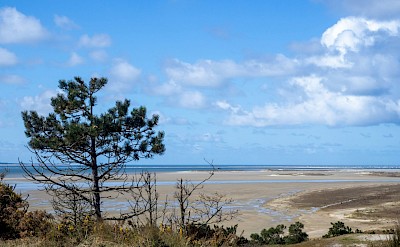 Looking out over the beach, Island of Terschelling, Netherlands. Unsplash@Wim Van T Einde