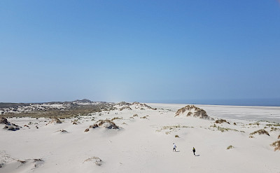 Dunes on Terschelling Island in North Holland. ©TO