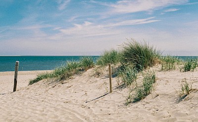 White sand dunes, Island of Texel, Netherlands. Unsplash@Memories on 35mm