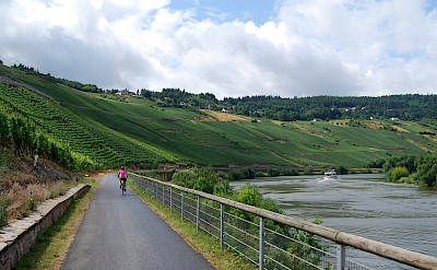 Biking along the Mosel River in Germany.