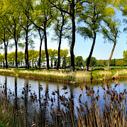 Amsterdam to Bruges Bike Tour Photo