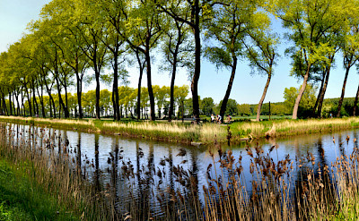 Bike paths in Damme, West Flanders, Belgium. Flickr:THS D90