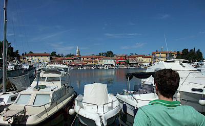 Harbor in Novigrad. Photo via Flickr:Matthew Metcalfe
