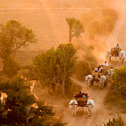 Burma Photo