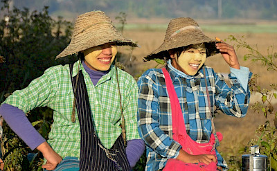 Farming girls on the road leaving Nyaungshwe, Burma. Photo by Tim Manning