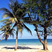 Coastal Thailand Photo