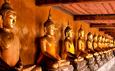 Buddha statues in Wat Mahathat, Bangkok, Thailand. Photo via Flickr:telmo32